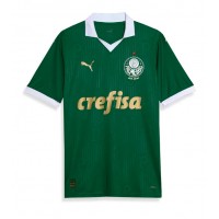 Maglia Calcio Palmeiras Prima Divisa 2024-25 Manica Corta